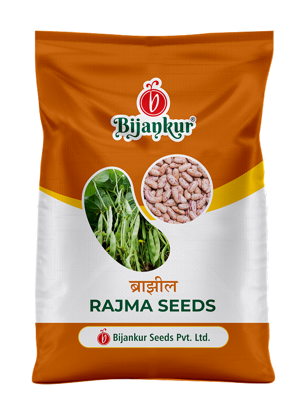 French Bean / Rajma — Phule Rajma